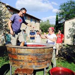 Discover Organic and Biodynamic Chianti Small Wineries from Florence with lunch and wine tasting included