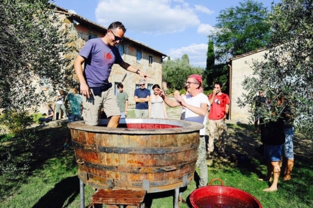 Discover Organic and Biodynamic Chianti Small Wineries from Florence with lunch and wine tasting included