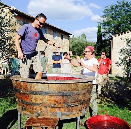 Discover Organic and Biodynamic Chianti Small Wineries from Florence with lunch and wine tasting included