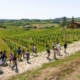 Tuscany Day Trip from Florence: Siena, San Gimignano, Pisa and Lunch at a Winery