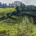 Private wine tour Tuscany from Florence