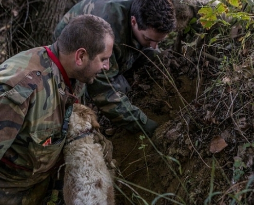 Truffle hunting near Florence