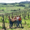 Tuscany wine tours from Florence