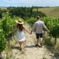 Wine tours in Tuscany Italy from Florence