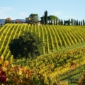 Chianti wine tour from Florence